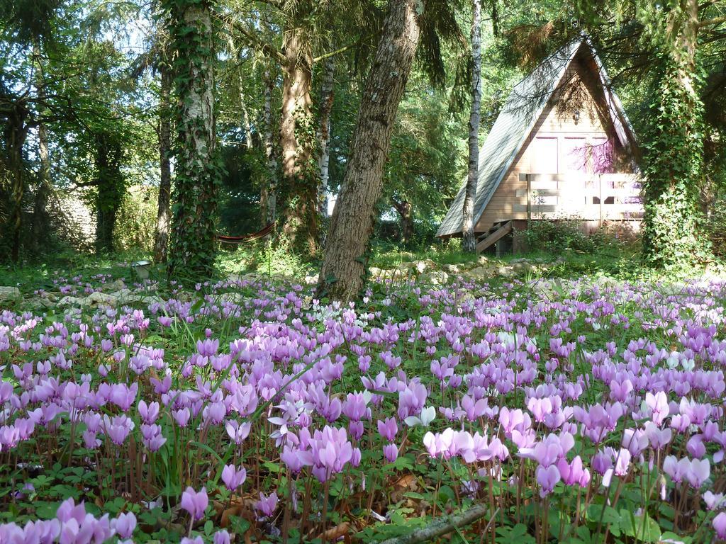 La Rossignolerie - Cabane Aux Oiseaux Chouzy-sur-Cisse Ngoại thất bức ảnh